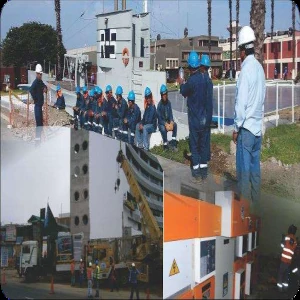 Diseño Ejecucion y Puesta en Servicio de Proyectos Electricos